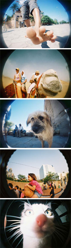 fisheye 6 fisheye 6